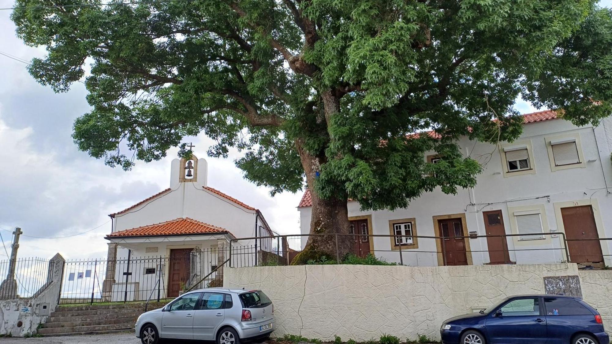 Frühstückspension Casa Da Tia Lena Coimbra