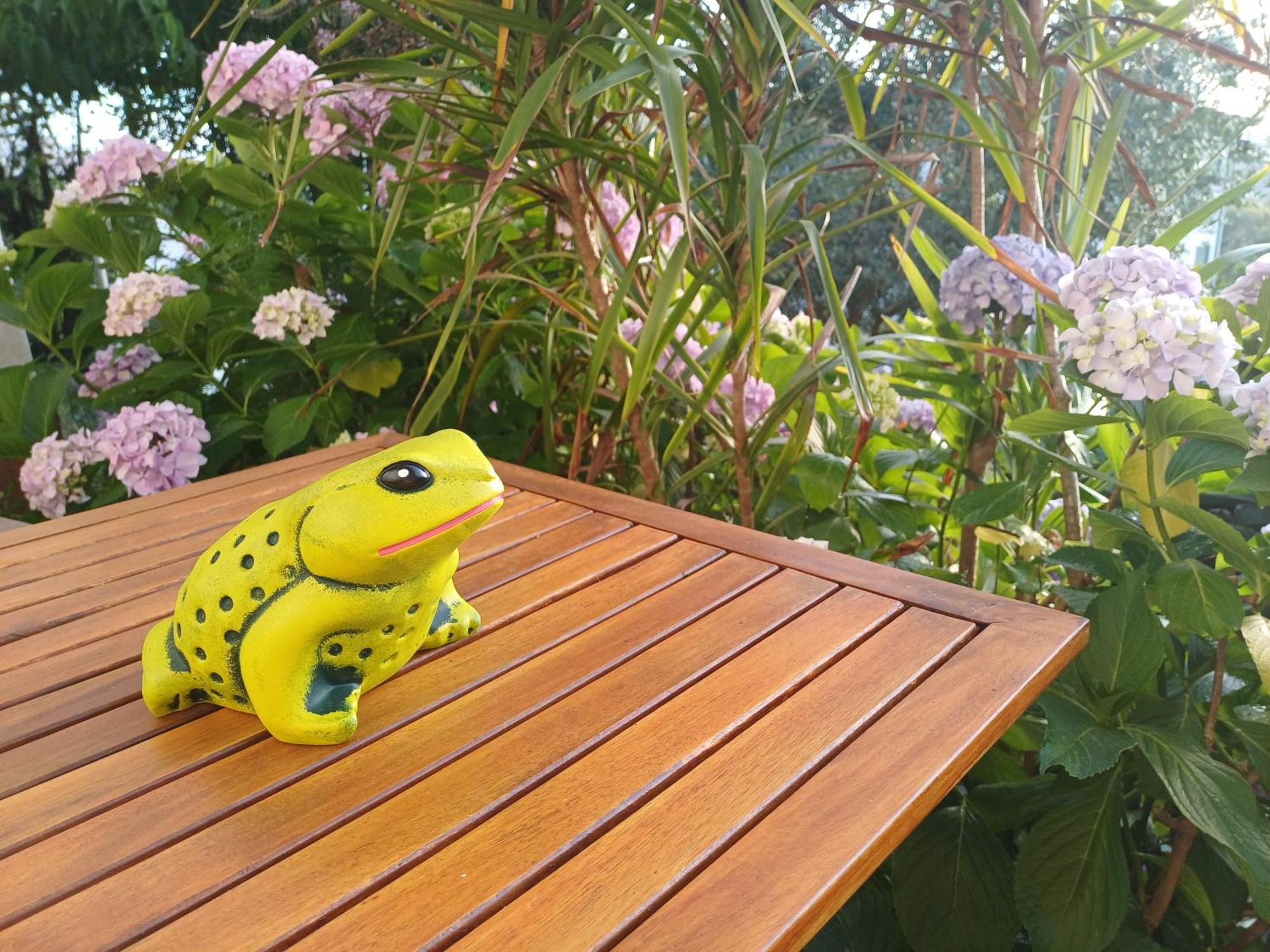 Casa Da Tia Lena Frühstückspension